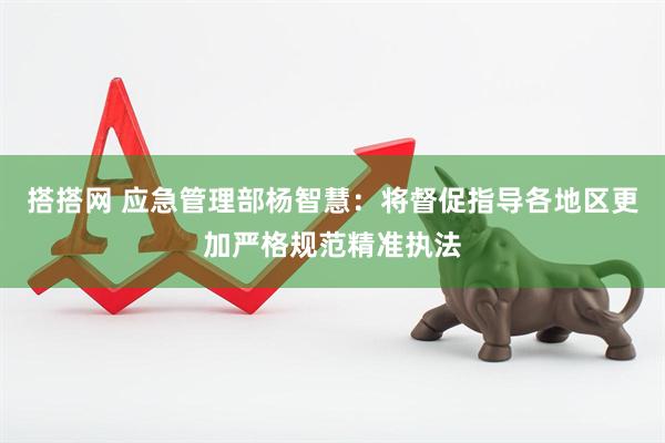 搭搭网 应急管理部杨智慧：将督促指导各地区更加严格规范精准执法