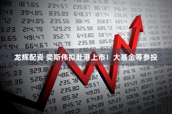 龙辉配资 奕斯伟拟赴港上市！大基金等参投