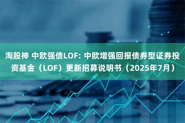 淘股神 中欧强债LOF: 中欧增强回报债券型证券投资基金(LOF)更新招募说明书(2025年7月)