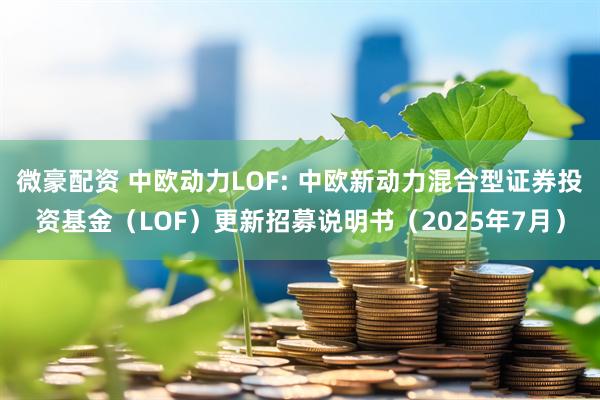 微豪配资 中欧动力LOF: 中欧新动力混合型证券投资基金(LOF)更新招募说明书(2025年7月)