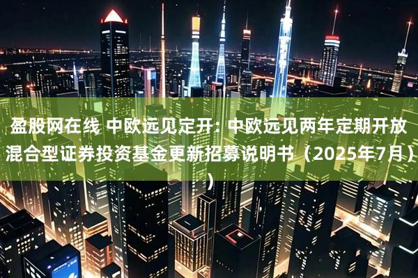 盈股网在线 中欧远见定开: 中欧远见两年定期开放混合型证券投资基金更新招募说明书(2025年7月)