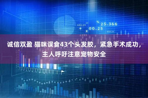 诚信双盈 猫咪误食43个头发胶，紧急手术成功，主人呼吁注意宠物安全