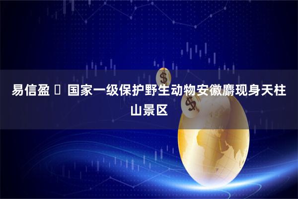 易信盈 ​国家一级保护野生动物安徽麝现身天柱山景区