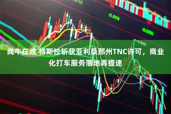 尚牛在线 特斯拉斩获亚利桑那州TNC许可,商业化打车服务落地再提速