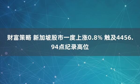 财富策略 新加坡股市一度上涨0.8% 触及4456.94点纪录高位
