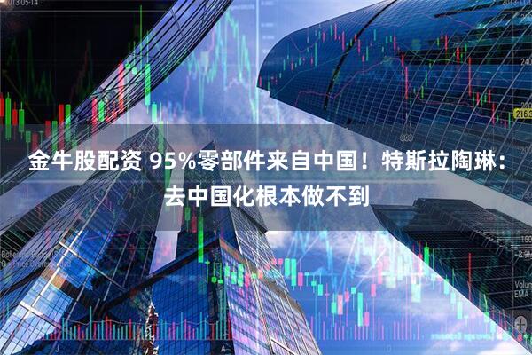 金牛股配资 95%零部件来自中国！特斯拉陶琳：去中国化根本做不到