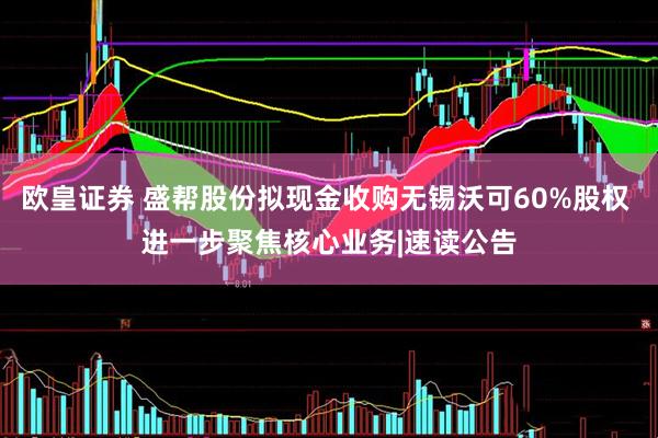 欧皇证券 盛帮股份拟现金收购无锡沃可60%股权 进一步聚焦核心业务|速读公告