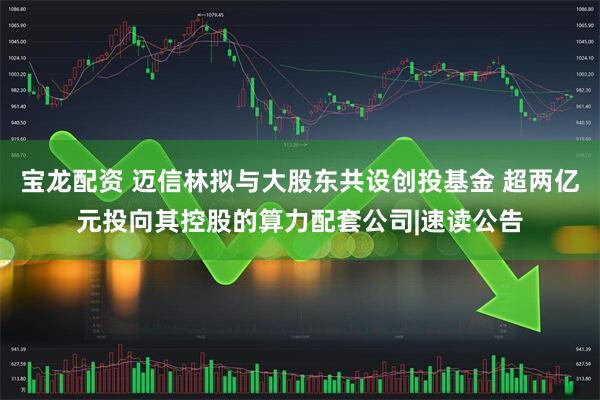 宝龙配资 迈信林拟与大股东共设创投基金 超两亿元投向其控股的算力配套公司|速读公告